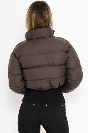 Sleek Cropped Puffer Jacket